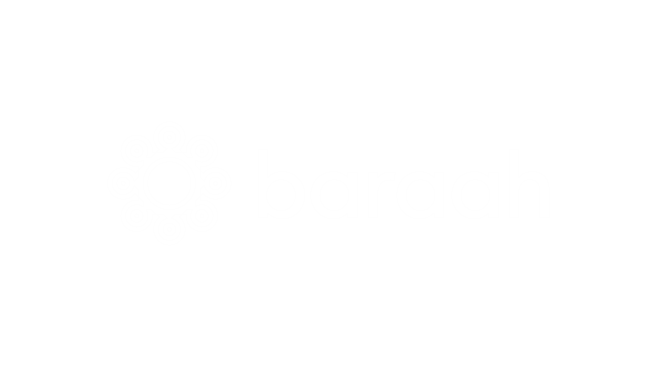 Grupo de 19 objetos