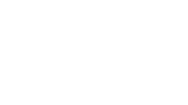 Grupo de 4 objetos